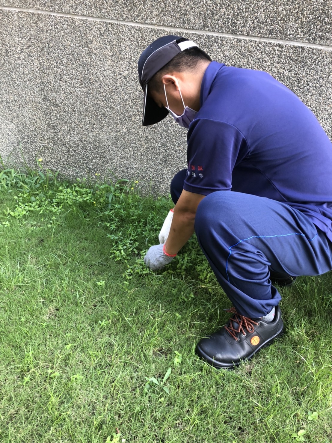 國一甲乙丙前除草